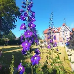 Unik Villa- Luxus Im Oberharz *