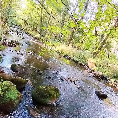 Unik Villa- Luxus Im Oberharz Lejlighed *
