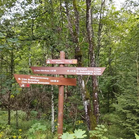 Unik Villa- Luxus Im Oberharz * Sankt Andreasberg