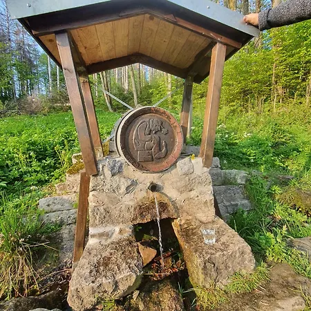 Lejlighed Unik Villa- Luxus Im Oberharz *