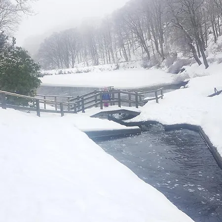 Unik Villa- Luxus Im Oberharz Sankt Andreasberg