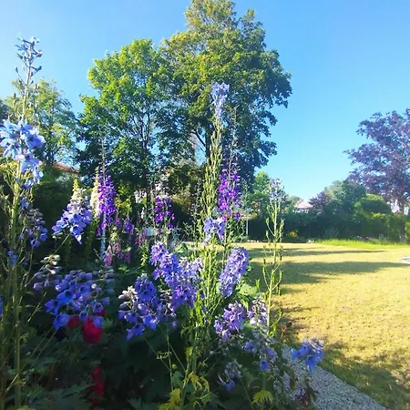Unik Villa- Luxus Im Oberharz