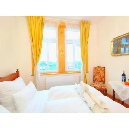 Apartment Unik Villa- Luxus Im Oberharz