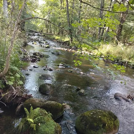 Apartment Unik Villa- Luxus Im Oberharz Sankt Andreasberg