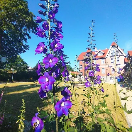 Unik Villa- Luxus Im Oberharz *