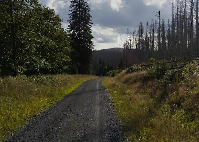 Apartman Unik Villa- Luxus Im Oberharz