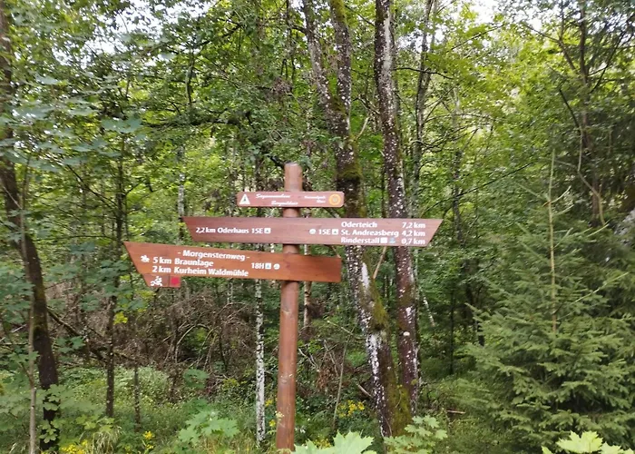 Unik Villa- Luxus Im Oberharz * Sankt Andreasberg