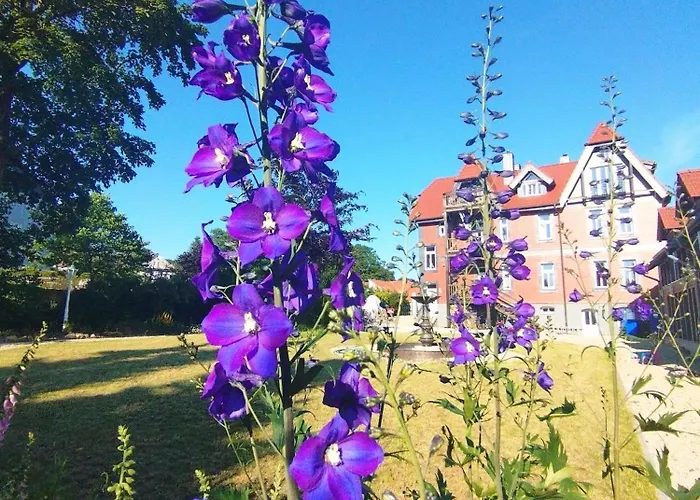 Unik Villa- Luxus Im Oberharz *