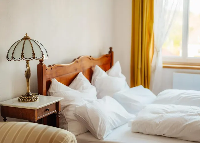 Apartman Unik Villa- Luxus Im Oberharz